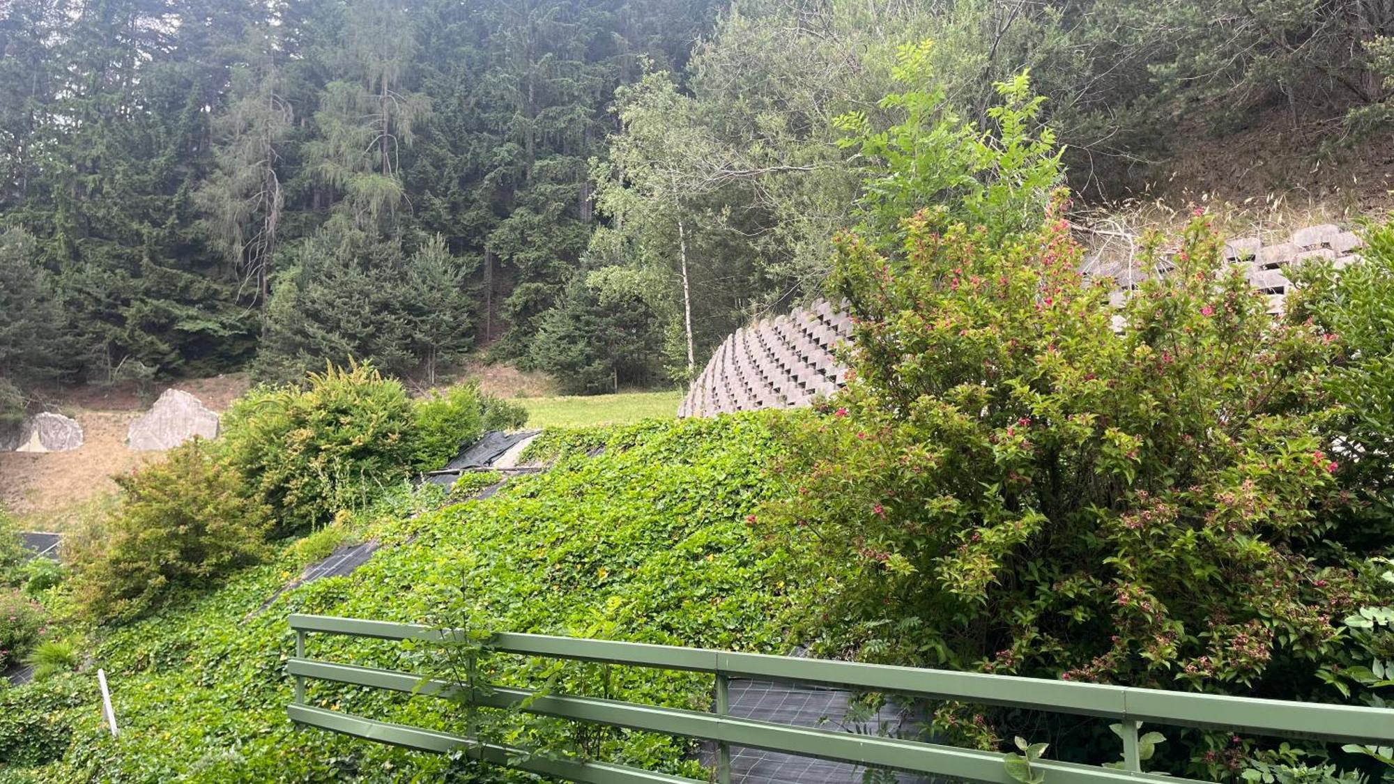 Hotel Saxl Campo di Trens Kültér fotó